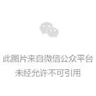 我的屋顶发电又赚钱-鸿运国际