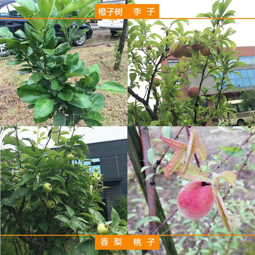 鸿运国际·(中国游)官方网站