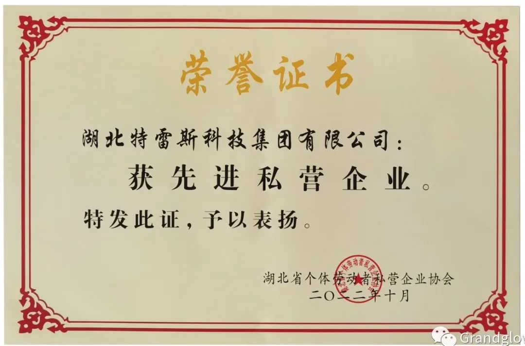 喜讯┃恭喜我司集团公司-特雷斯集团荣获“先进私营企业”-鸿运国际